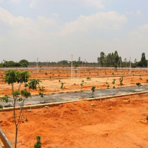 lands, ventures, plots in metpally